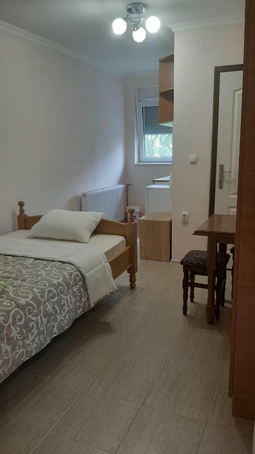 Aleksandar Vila Br ヴルドニーク 部屋 写真