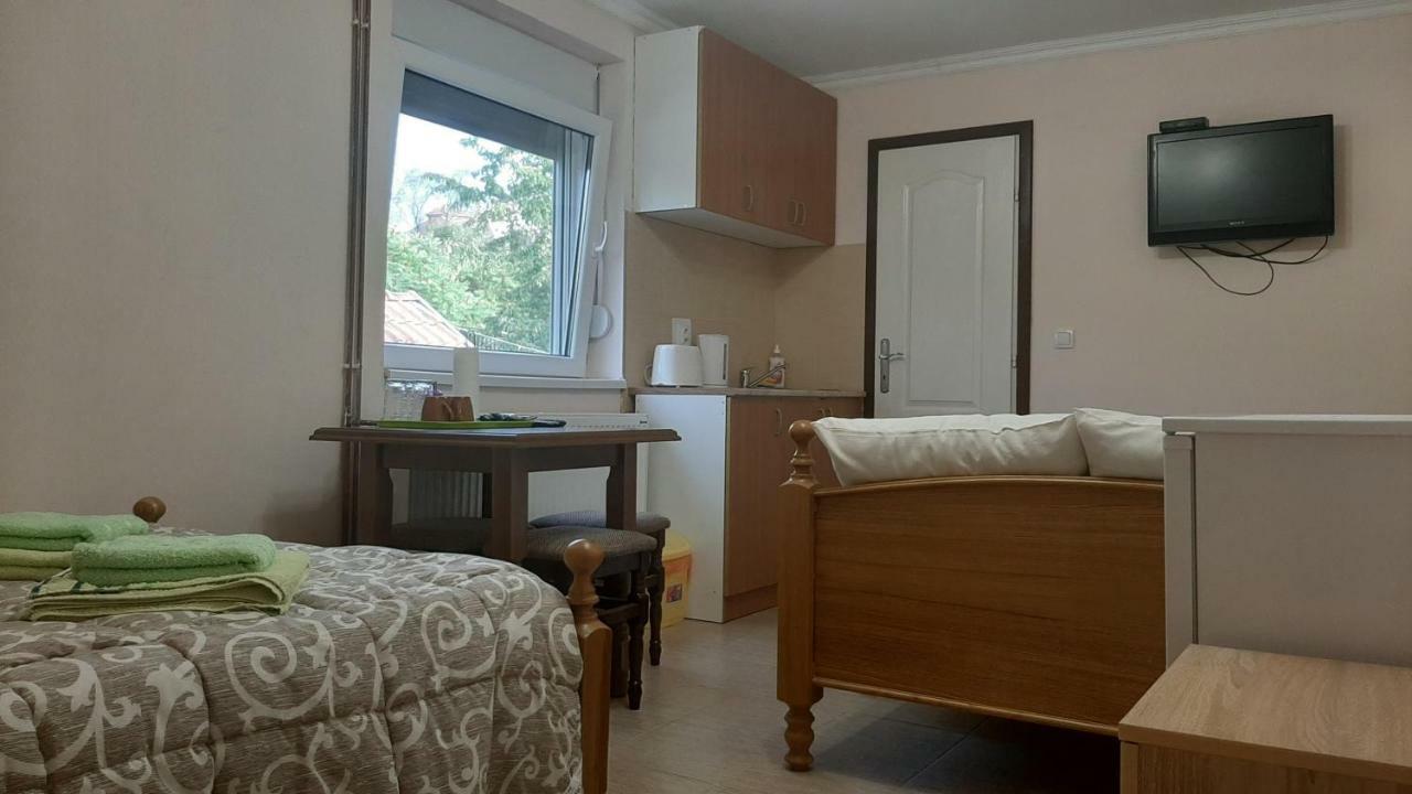 Aleksandar Vila Br ヴルドニーク 部屋 写真